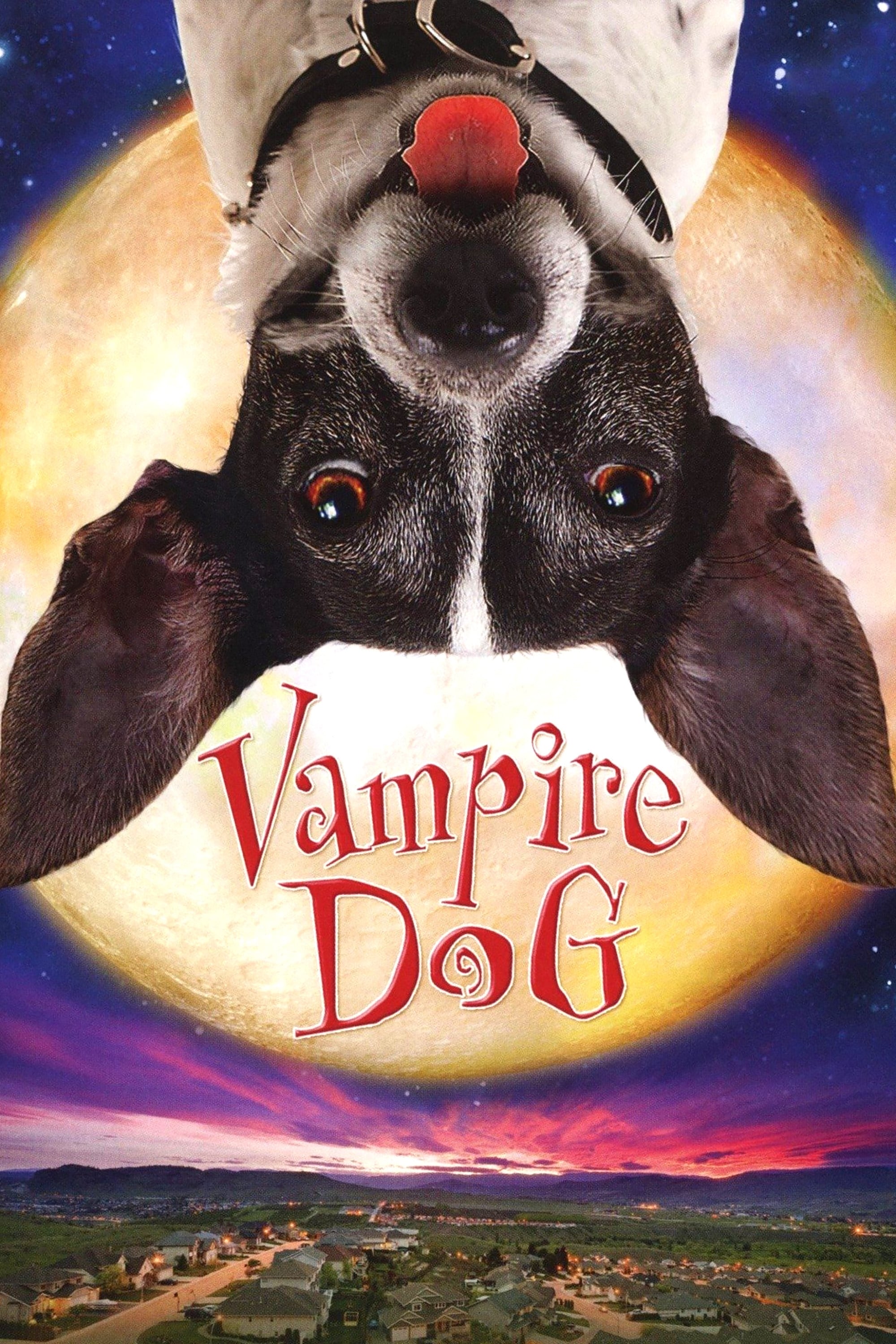 Постер Vampire Dog